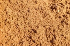 Фото песка для анализа | ФЛП Ключкин А.И.