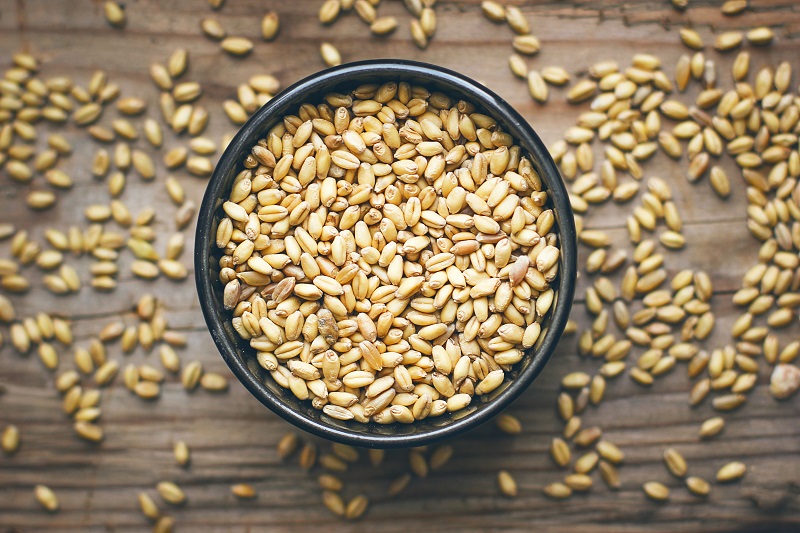 Дослідження якості зерна: нові можливості з Ключкін