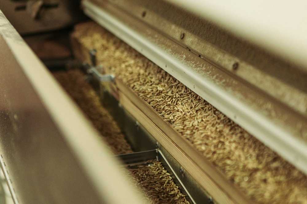 Післязбиральне очищення зерна