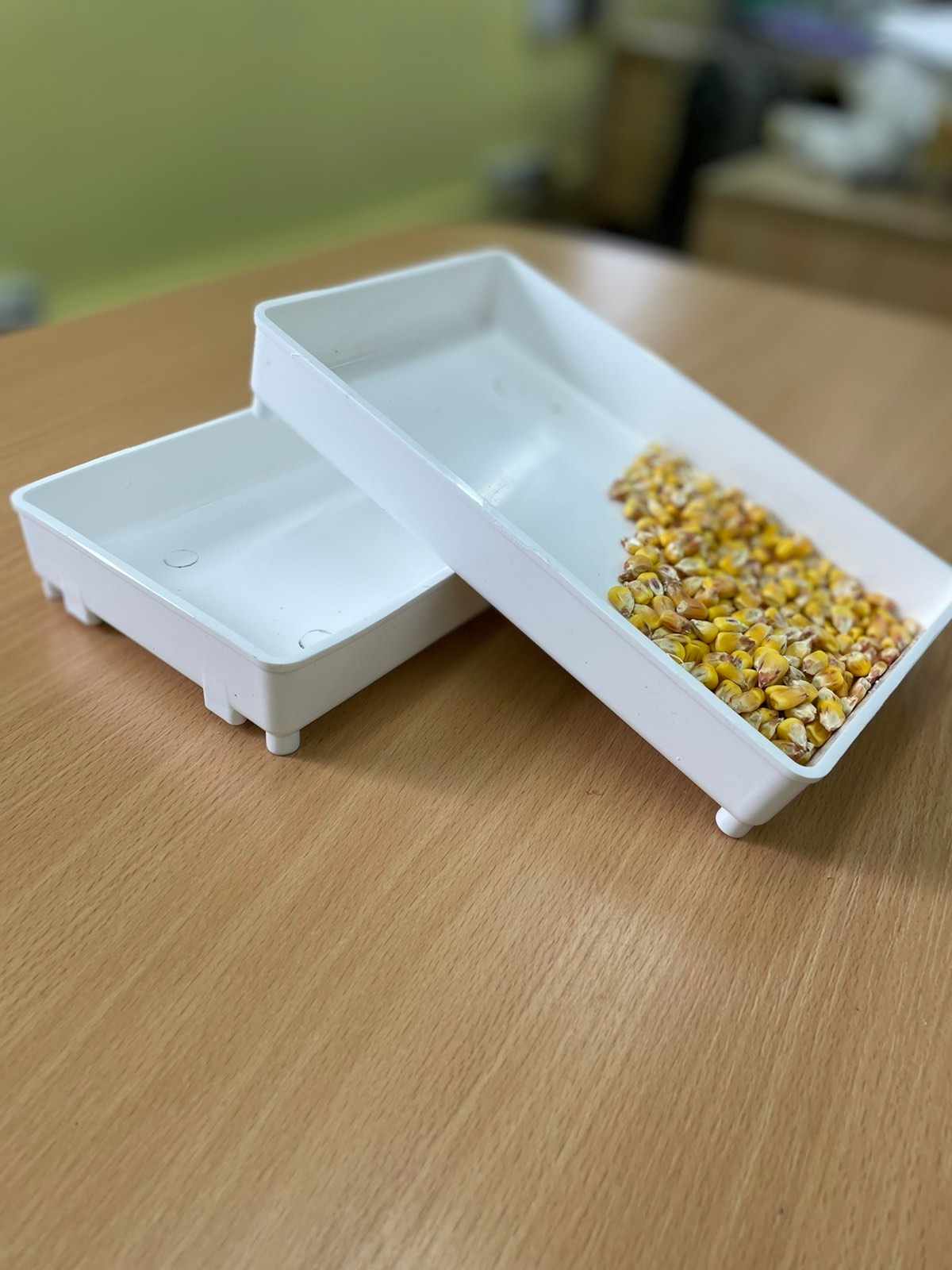 Растільні для пророщування зерна